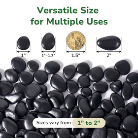 GreatBuddy Black River Rocks in a vase: versatile decor for indoor arrangements.