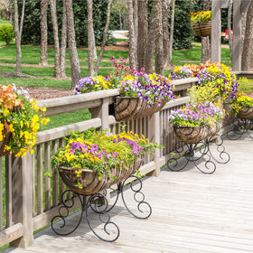 GreatBuddy liner suits petunias and similar flowers for curb appeal.