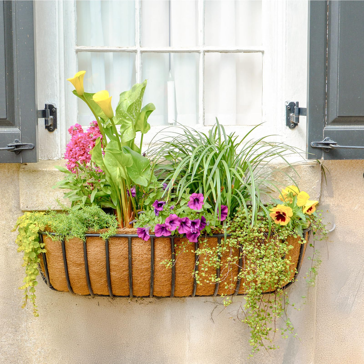 GreatBuddy window box liner simplifies setup on sunlit porches.
