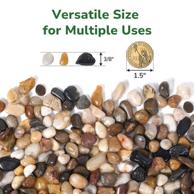 GreatBuddy three eighth inch pea gravel enhances drainage in containers