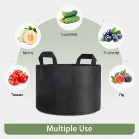 GreatBuddy 10-gallon bags suit herbs, vegetables, and mixed plantings.
