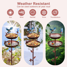 GRECOMEIN large deep bowl for birds to drink and bathe in your garden