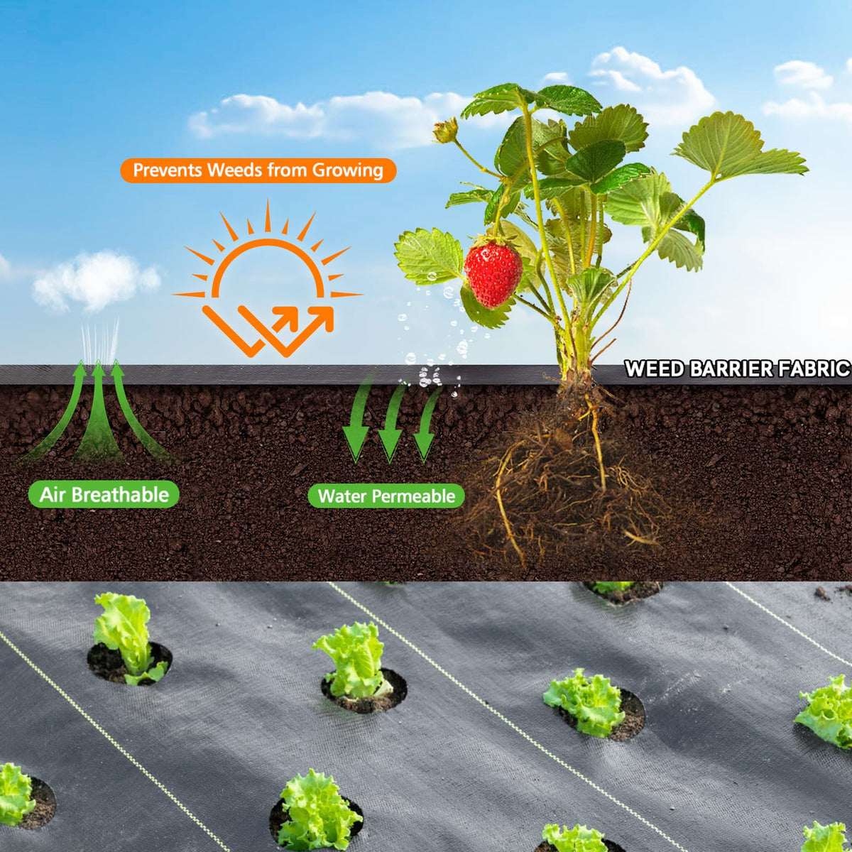 Gree-Mac breathable ground cover lets air and water reach roots.