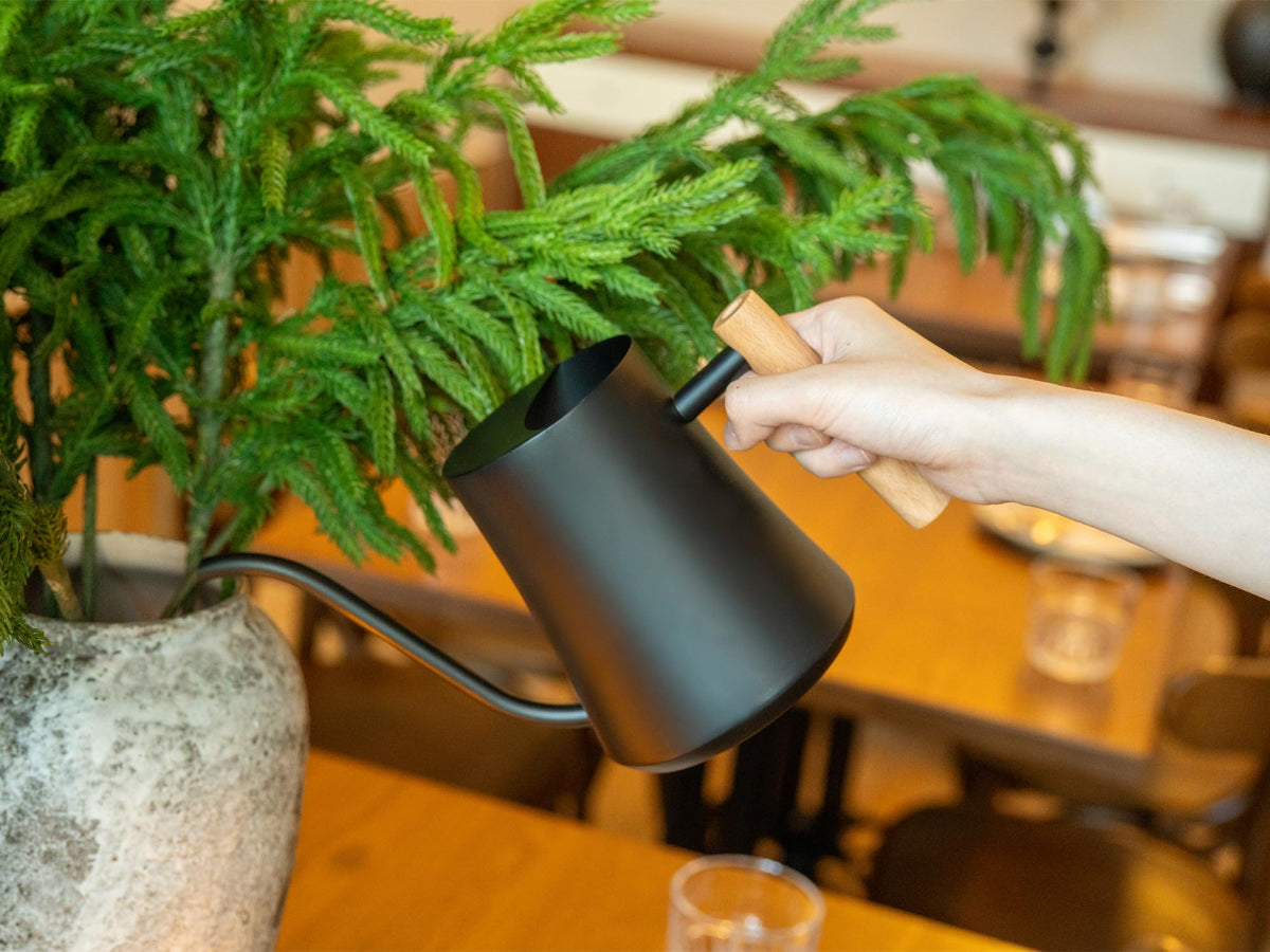 Green Moon Water Can perfect for bonsai and hanging plants.