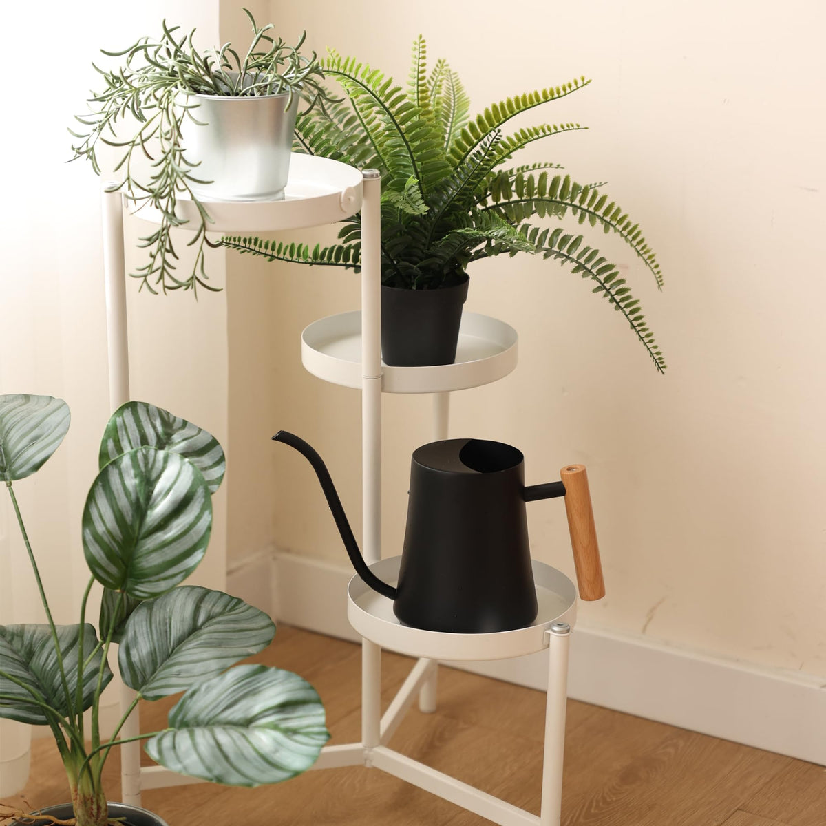 Green Moon Water Can for indoor garden and tabletop arrangements.