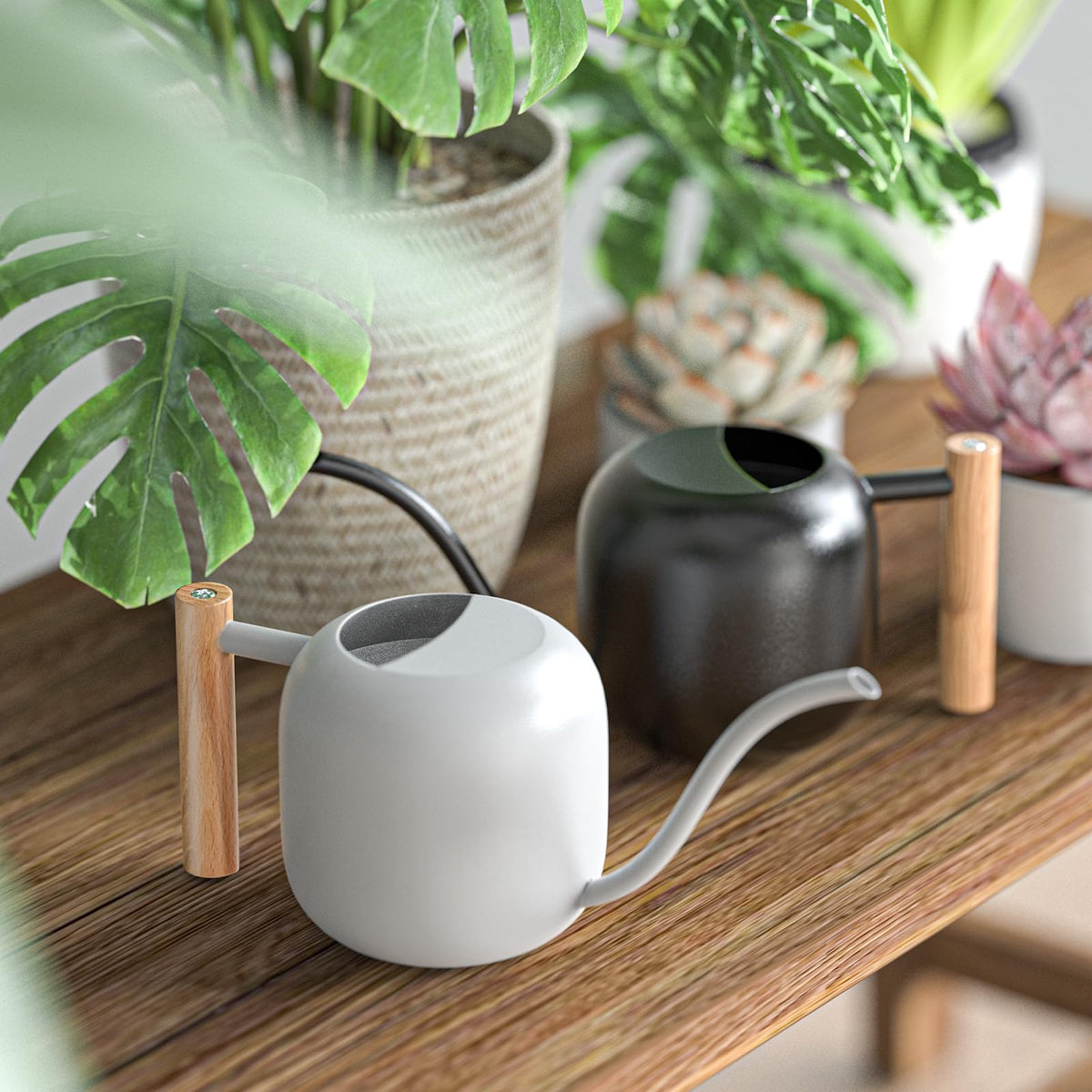Green Moon ideal for indoor and outdoor use on desks and shelves