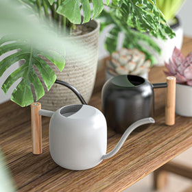 Green Moon ideal for indoor and outdoor use on desks and shelves