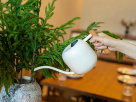 Green Moon wooden-handle provides a comfortable grip during watering