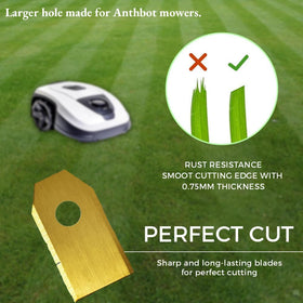 Green Piece double-sided blades extend life by flipping.