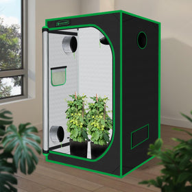 Green Hut 3x3 grow tent interior shows reflective Mylar for even light distribution.