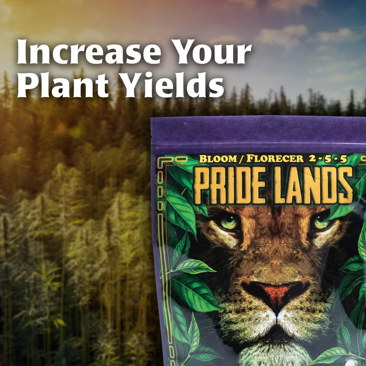 GreenGro Pride Lands bloom-garden flowers shows lush petals and longer-lasting color.