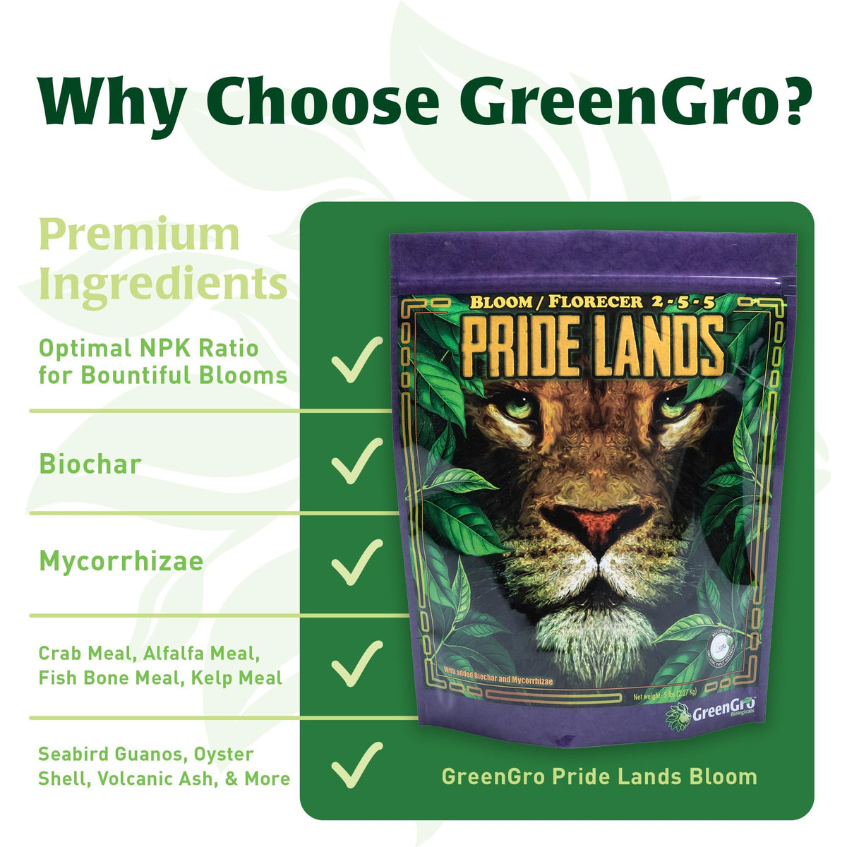 GreenGro Pride Lands bright-plants closeup showcases vibrant foliage and blooming potential.
