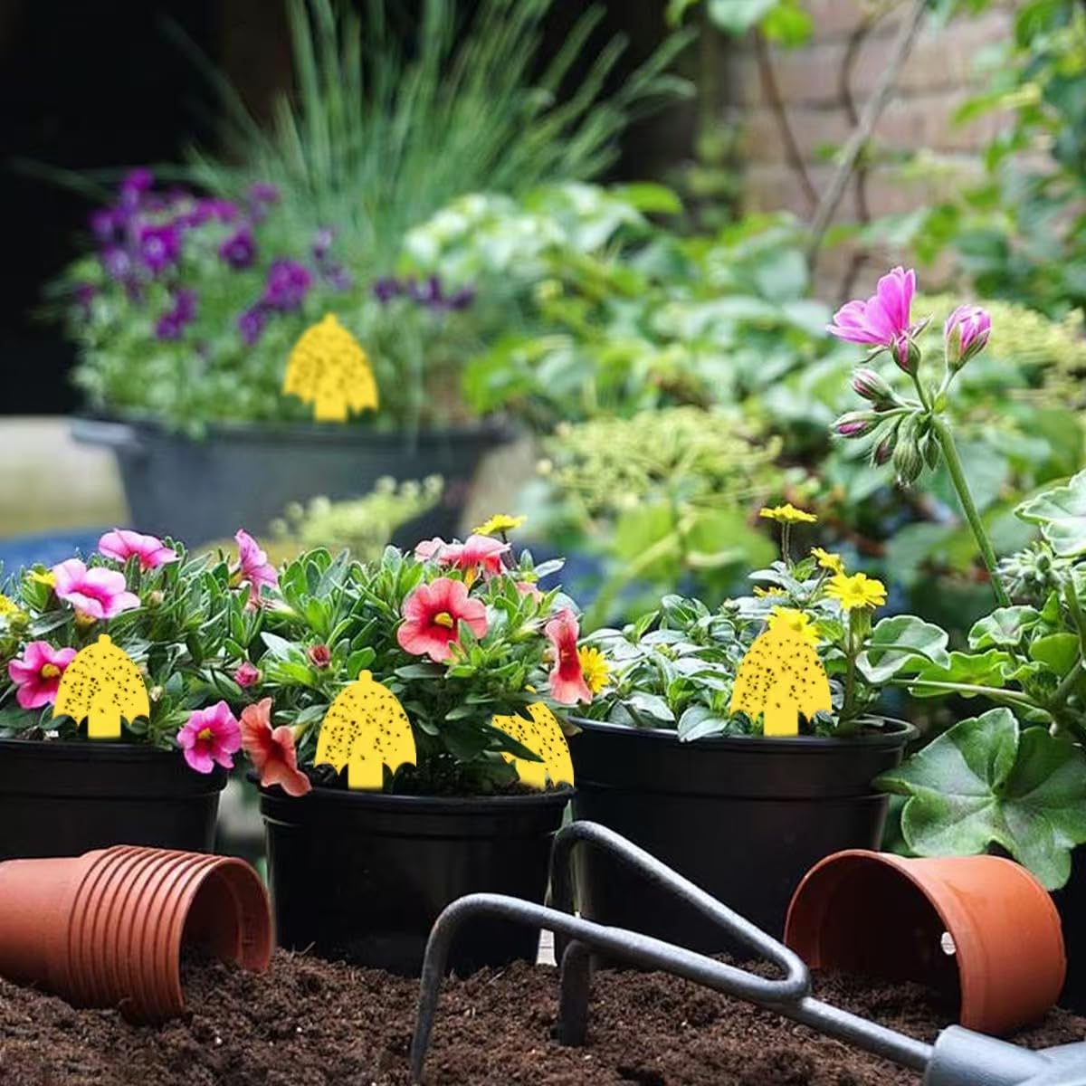 Greenkeeper Ver. 2.0 yellow gnat trap color attracts pests for home use.