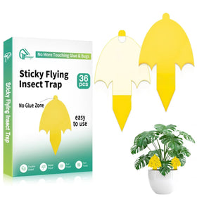 Greenkeeper Ver. 2.0 yellow gnat traps ready for quick setup and decorative pest control.