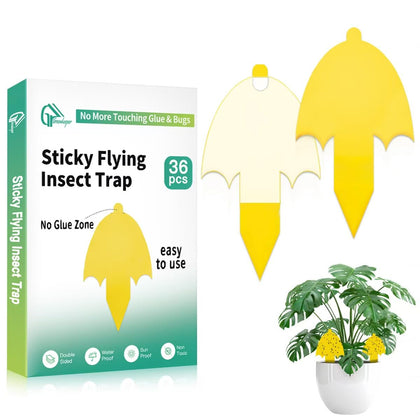 Greenkeeper Ver. 2.0 yellow gnat traps ready for quick setup and decorative pest control.