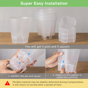GREENPARA 5-Inch self-watering pot ideal for herbs, succulents, orchids, and flowering plants.