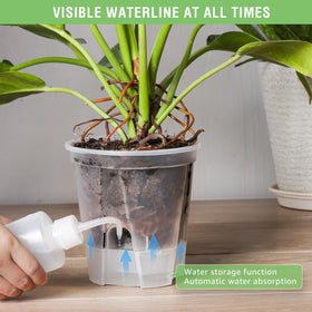 GREENPARA 5-Inch self-watering pot matte-finish design complements home or office décor.