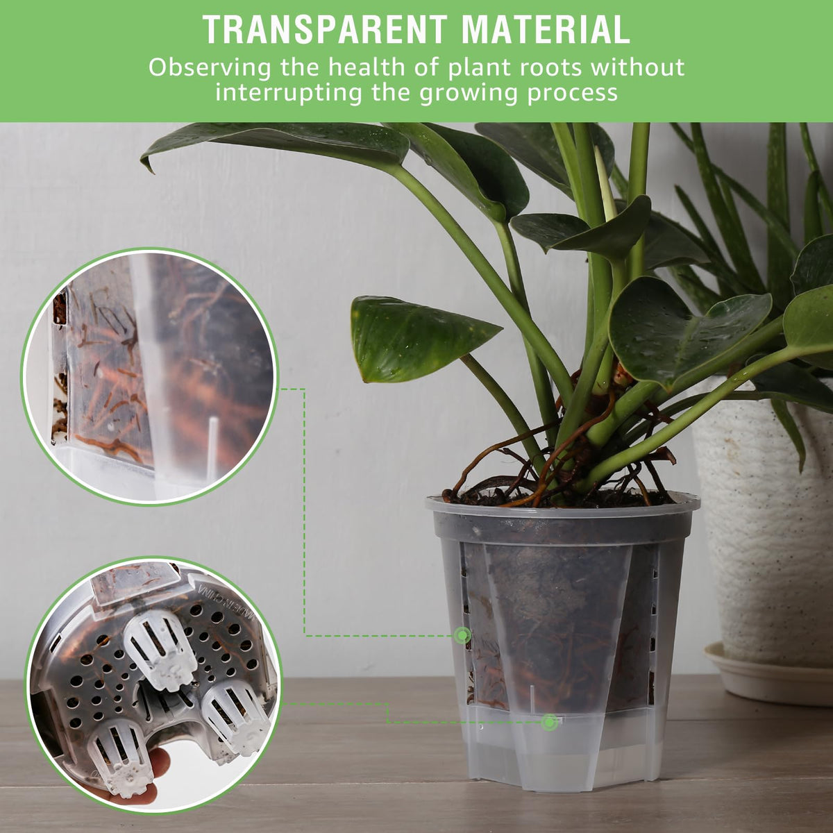 GREENPARA 5-Inch self-watering pot ready-out-of-the-box convenience for beginners and busy homes.