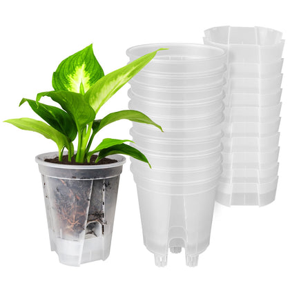 GREENPARA 5-Inch self-watering pot with transparent root-visibility for easy growth monitoring.