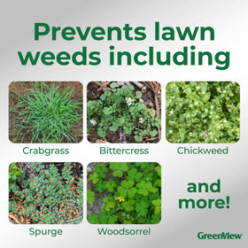 GreenView Dimension crabgrass preventer barrier on a healthy lawn