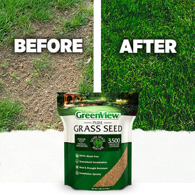 GreenView Pure Grass Seed germination underway in 10-14 days