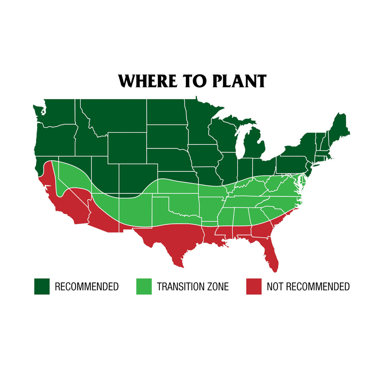 GreenView seed withstands heat and drought for a resilient shade lawn