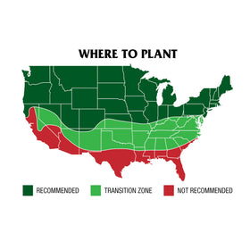 GreenView seed withstands heat and drought for a resilient shade lawn