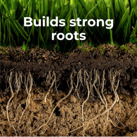 GreenView promotes thicker turf and better stress tolerance