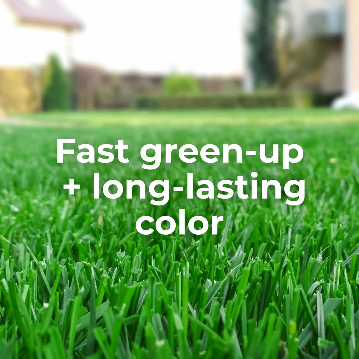 GreenView weed-control targets common lawn weeds for a tidy yard