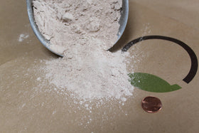 Greenway Biotech Azomite mineral powder applied to seedlings to improve vigor and root health.