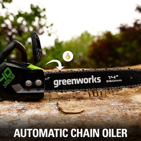 Storm cleanup use with cordless power near outdoor spaces.