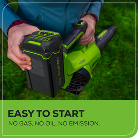 Greenworks 40V leaf blower driveway-clean facilitates quick clearance on hard surfaces.