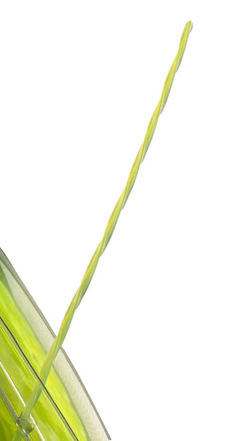 Greenworks 0.080-inch line delivers efficient, snag-resistant cuts.