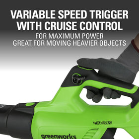 Includes 2.5Ah battery with Greenworks leaf blower kit