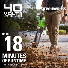 Pivoting nozzle on Greenworks blower for decks and gutters