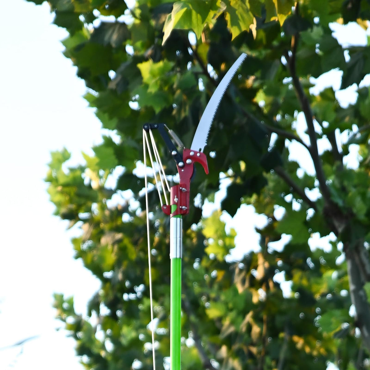 Grefinity all-in-one tool for trees, shrubs, and logs