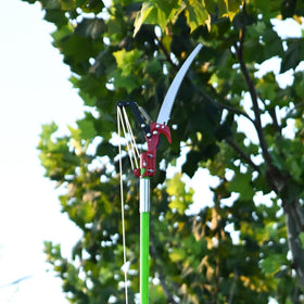 Grefinity all-in-one tool for trees, shrubs, and logs