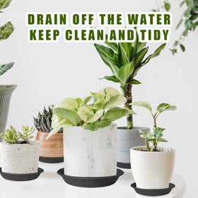 Gregich DIY craft use tray for decorative plant projects