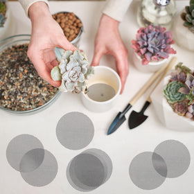 GREGICH 4-inch mesh screen is easy to install and reuse