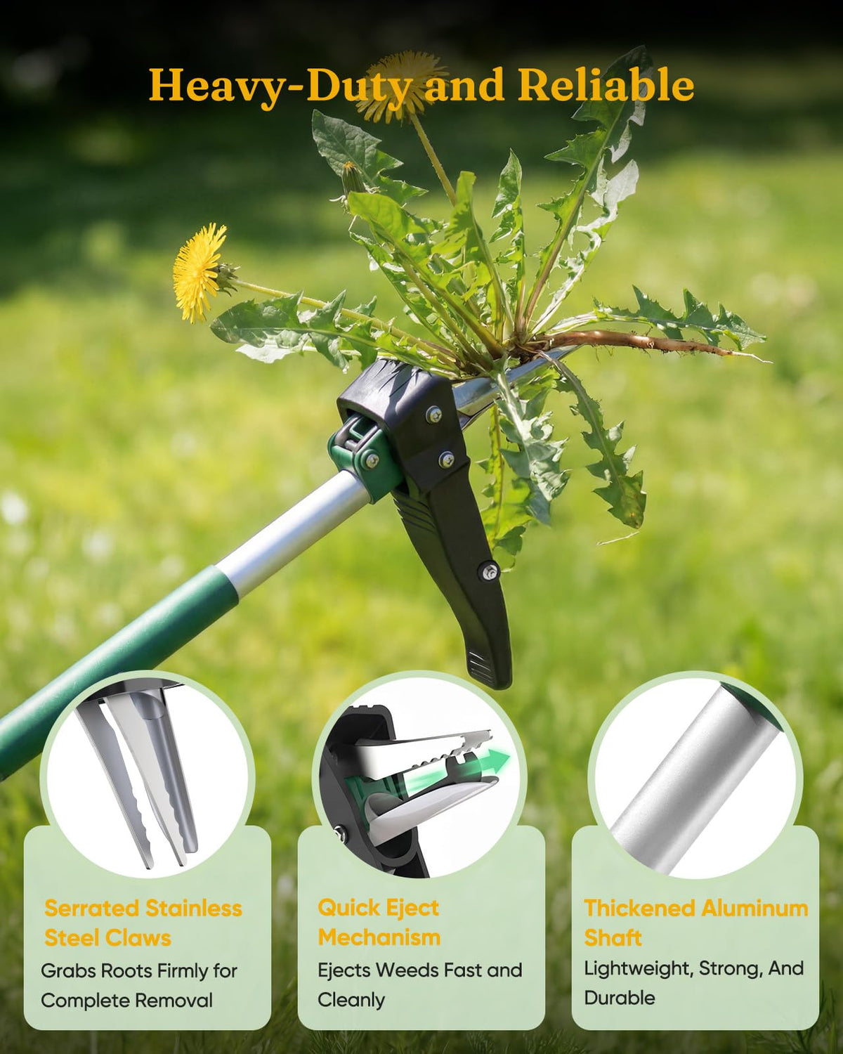 Grenebo weed puller in action uproots dandelions and crabgrass efficiently.
