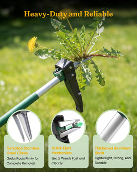 Grenebo weed puller in action uproots dandelions and crabgrass efficiently.