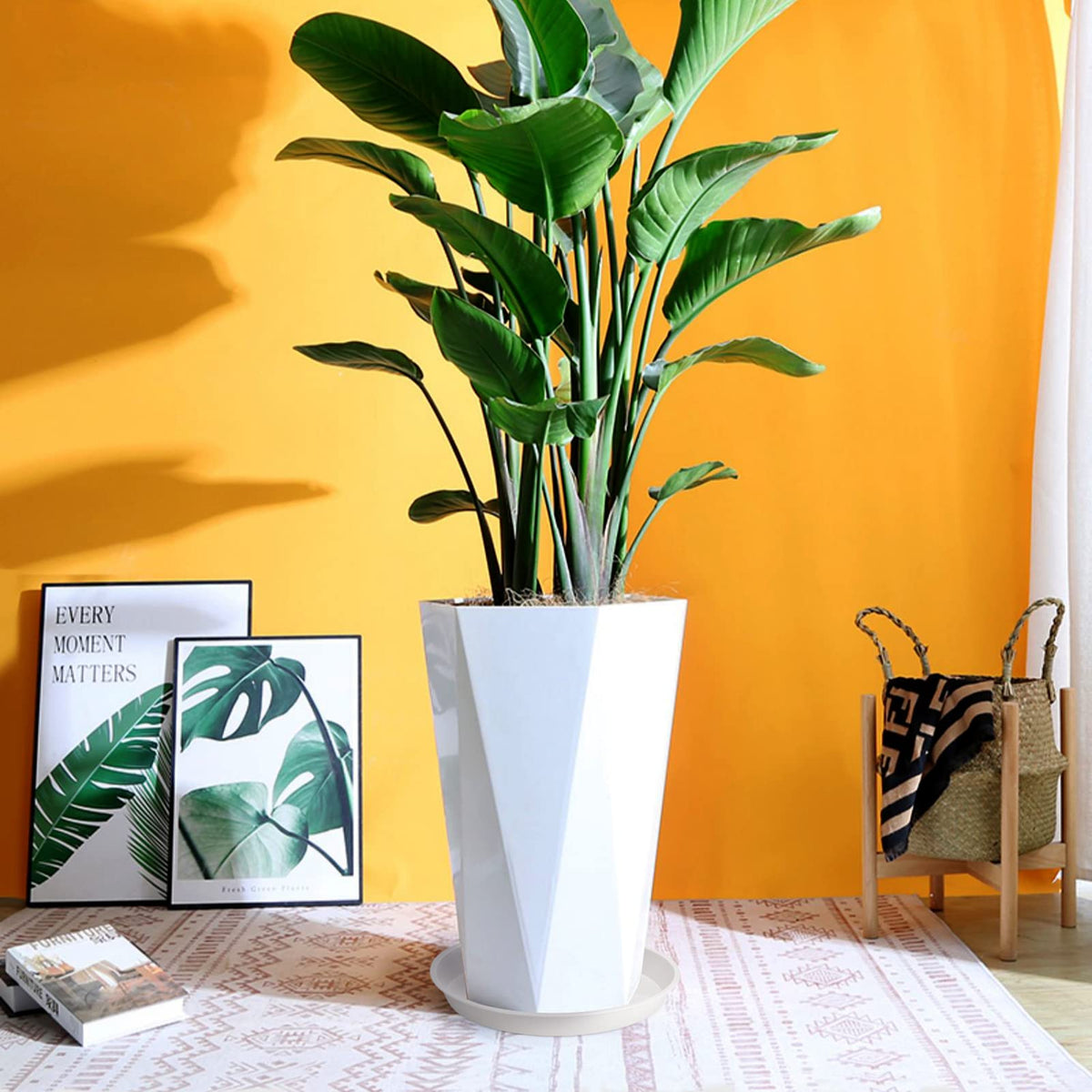 GRESPRI deep basin catches runoff to protect floors from large pots.