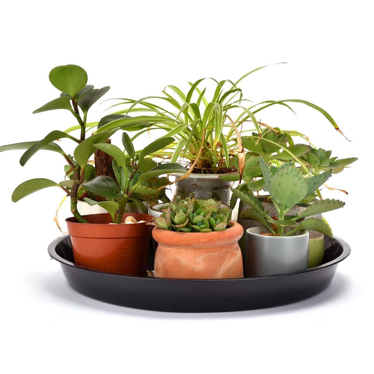 GRESPRI five-pack saucers provide weather-ready protection for outdoor plants.