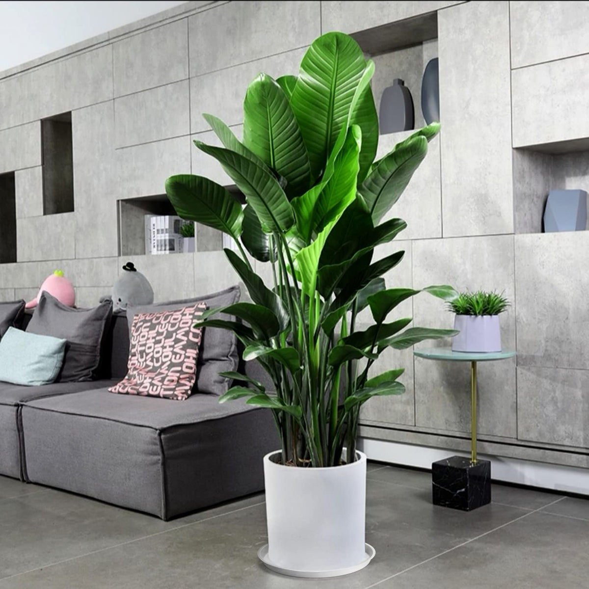 GRESPRI sleek white finish complements modern decor for plant setups.