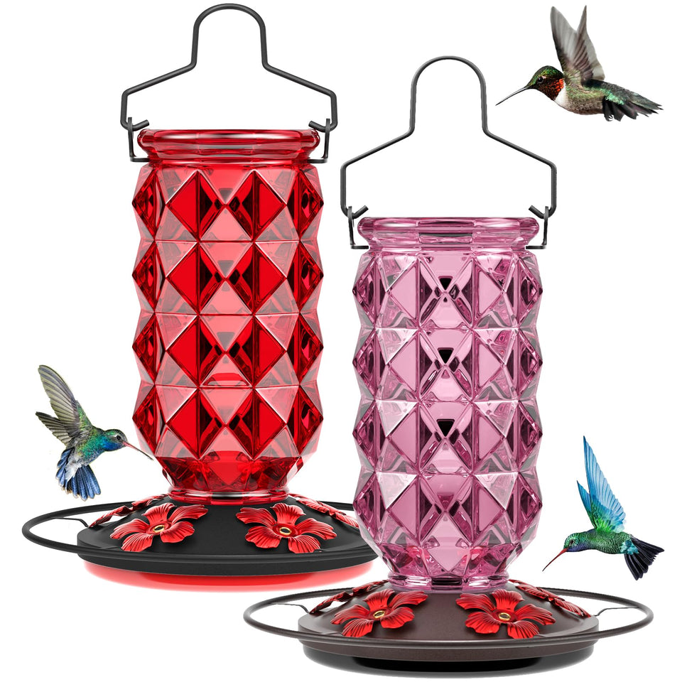 Grete Gotye glass hummingbird feeder with perch for easy viewing and frequent visits