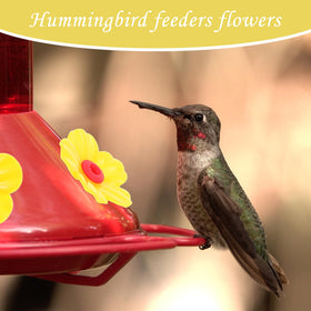 Grevosea floral feeder parts brighten gardens with vivid colors