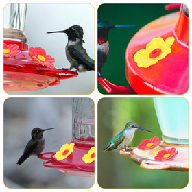 Grevosea hummingbird feeder flowers include cleaning brushes for upkeep