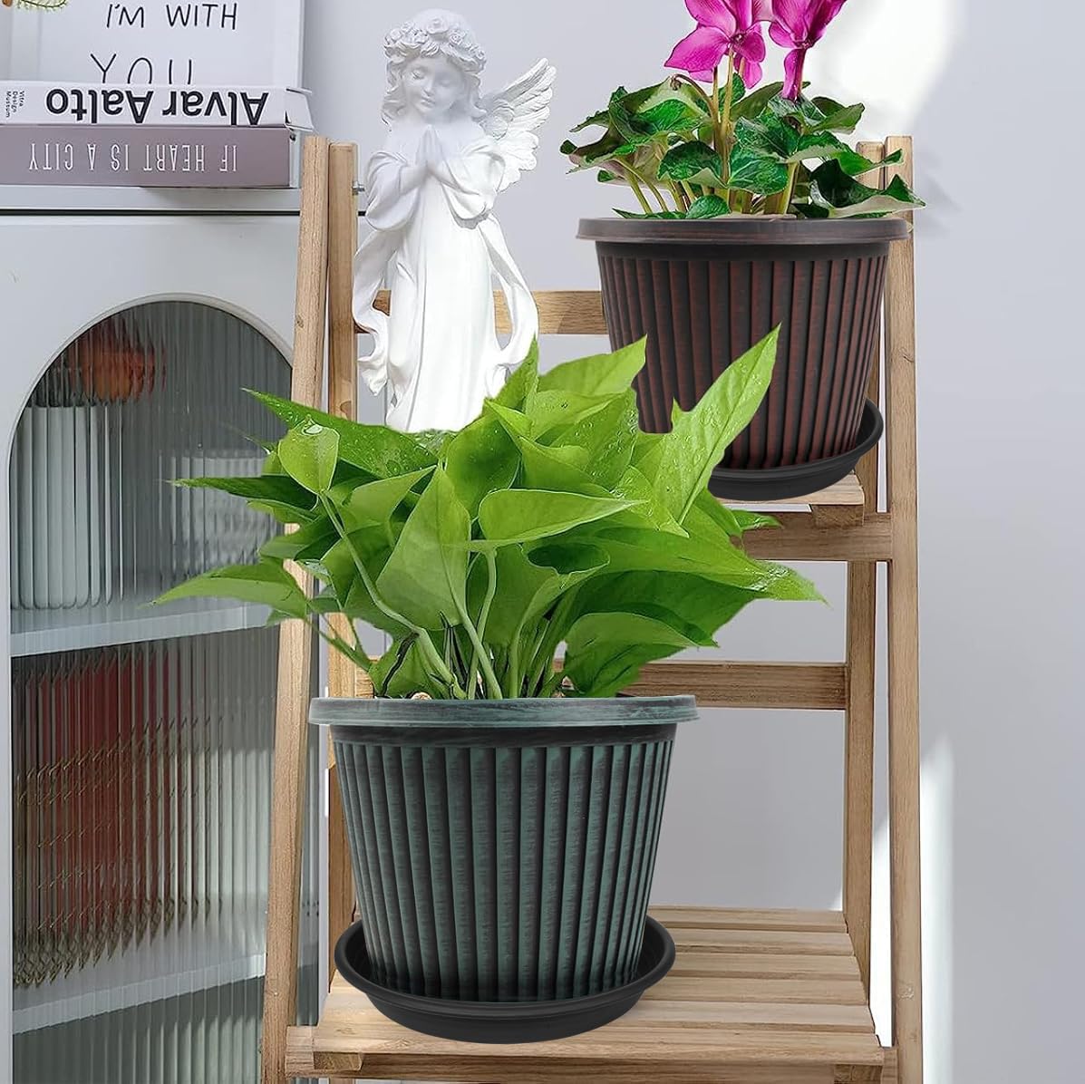 Grjoprt 8-inch plant saucer doubles as bird bath tray