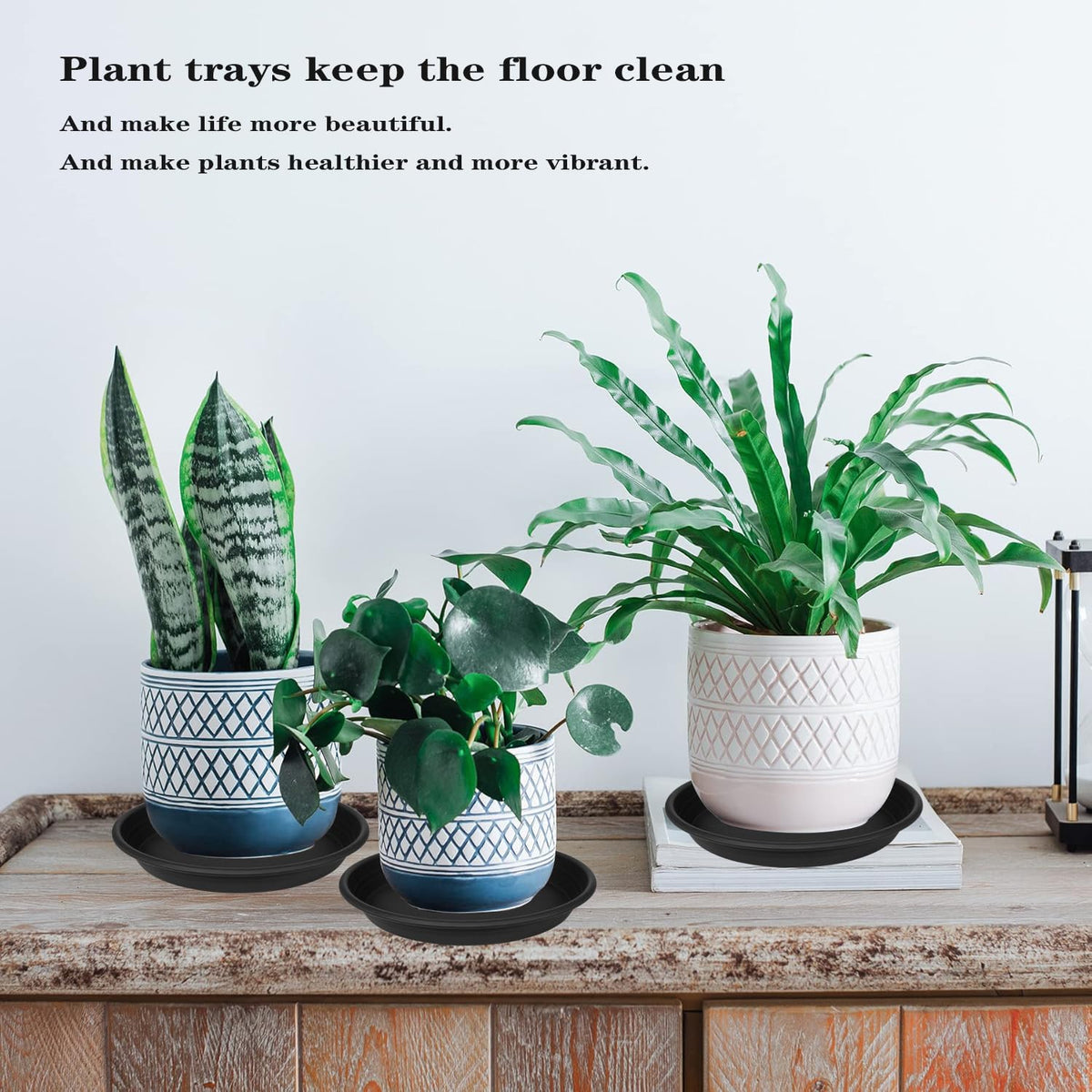 Grjoprt heavy-duty 12-inch saucer in black complements planter setups.