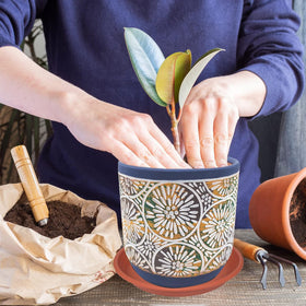 Grjoprt heavy-duty plant trays provide durable indoor use.